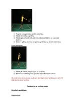 Конспект 'Badmintona mācīšana un pilnveidošana', 10.