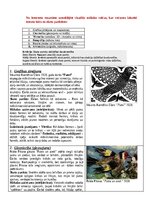 Образец документа 'Portfolio, metodiskā mape', 6.