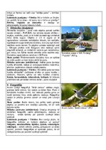 Образец документа 'Portfolio, metodiskā mape', 7.