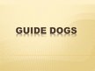 Презентация 'Guide Dogs', 1.
