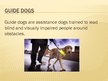 Презентация 'Guide Dogs', 2.