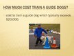 Презентация 'Guide Dogs', 10.