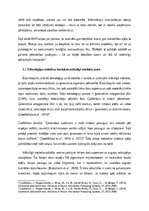 Дипломная 'Dziļviltojumu izmantošana politiskajās kampaņās', 6.