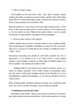 Дипломная 'Dziļviltojumu izmantošana politiskajās kampaņās', 13.