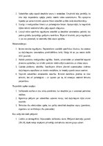 Дипломная 'Dziļviltojumu izmantošana politiskajās kampaņās', 28.