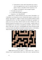 Реферат 'Lietotnes "Animal Labyrinth" izstrāde', 14.
