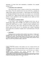 Реферат 'Praktikums starptautiskajās tiesībās
', 11.