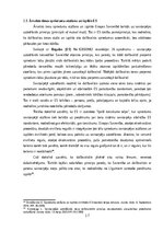 Реферат 'Praktikums starptautiskajās tiesībās
', 17.