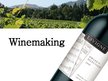 Презентация 'Winemaking', 1.