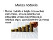 Презентация 'Muitas nodoklis', 2.