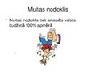 Презентация 'Muitas nodoklis', 5.
