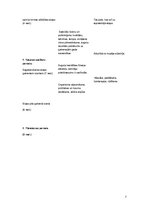 Образец документа 'Treniņu sagatavošanas plāns 2012.-2013.gadam', 7.