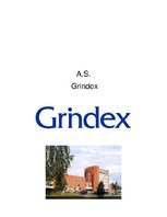 Конспект 'Farmācijas uzņēmuma AS "Grindex" apraksts', 1.