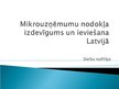 Реферат 'Mikrouzņēmuma nodokļa izdevīgums un ieviešana Latvijā', 29.
