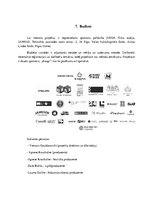 Бизнес план 'Komunikācijas plāns projektam "Projektors 2018"', 9.