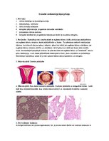 Конспект 'Dzemdes endometrija hiperplāzija', 1.