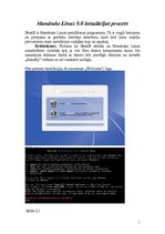 Конспект 'Mandrake Linux 9.0 instalācijas procesa tulkojums un palīgs iesācējiem', 1.