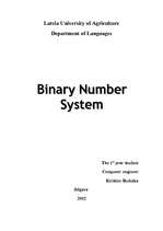 Реферат 'Binary Number System', 1.
