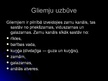 Презентация 'Gliemju klase', 4.
