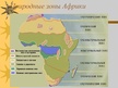 Презентация 'Природные зоны Африки', 4.