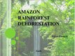 Презентация 'Amazon Rainforest Deforestation', 1.