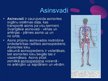 Презентация 'Asinsrite, asinsrites sistēma', 7.