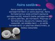 Презентация 'Asinsrite, asinsrites sistēma', 18.