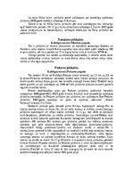 Конспект 'Kurzemes pilskalni', 12.