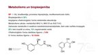 Презентация 'Adrenoreceptori α1, tos ietekmējošas zāles', 7.