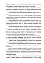 Отчёт по практике 'Finanšu analīze SIA "X"', 8.