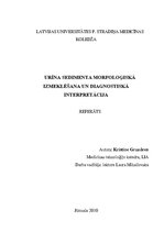 Реферат 'Urīna sedimenta morfoloģiskā izmeklēšana un diagnostiskā interpretācija', 1.