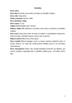 Реферат 'Pirmsskolas vecuma bērnu iesaistīšana par bibliotēku lasītājiem.', 2.