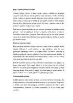 Эссе 'Izlasītās grāmatas apraksts: literārās pieredzes un personīgo atziņu sintēze', 1.