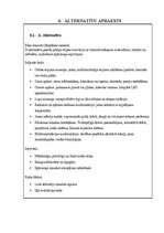 Реферат 'Projektu vadības plāns', 8.