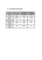 Реферат 'Projektu vadības plāns', 11.