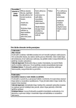 Реферат 'Projektu vadības plāns', 13.