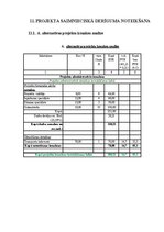 Реферат 'Projektu vadības plāns', 20.