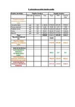 Реферат 'Projektu vadības plāns', 25.