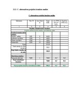 Реферат 'Projektu vadības plāns', 26.