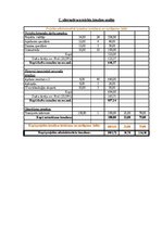 Реферат 'Projektu vadības plāns', 27.