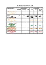 Реферат 'Projektu vadības plāns', 28.