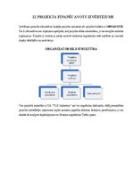 Реферат 'Projektu vadības plāns', 29.
