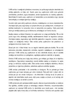 Эссе 'SVID analīze: stratēģiskās plānošanas rīks mūsdienu uzņēmējdarbībā', 1.