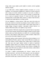 Эссе 'SVID analīze: stratēģiskās plānošanas rīks mūsdienu uzņēmējdarbībā', 3.