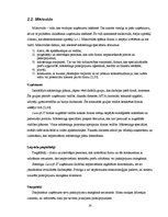 Реферат 'Lursoft IT mārketinga vides un stratēģijas analīze un darbības plānošana', 14.