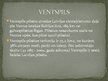 Презентация 'Ventspils', 4.