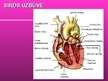 Презентация 'Prezentācija par sirdi un asinsrites sistēmu', 12.