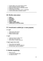 Бизнес план 'Biznesa plāns privātbērnudārza atvēršanai', 10.