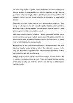 Эссе 'Cilvēka gaisma: pretsvars dehumanizācijai mūsdienu pasaulē', 2.