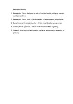 Эссе 'Cilvēka gaisma: pretsvars dehumanizācijai mūsdienu pasaulē', 3.